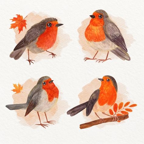 Watercolor Robin, Robin Drawing, Winter Illustrations, Bird Tattoos, Posca Art, Winter Illustration, Watercolor Pictures, Robin Bird, Bird Drawings