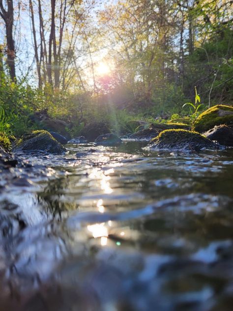 Water Spring Natural, River Water Photography, Nature Photography Water, Water Movement Photography, Ocean Water Photography, Reflection In Water Photography, Running Water Aesthetic, Water Images Photography, Water Surface Photography