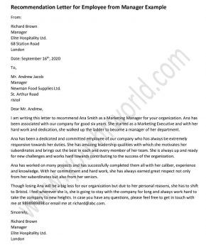 Recommendation letter for employee from manager/boss. Download recommendation letter template to use as a reference for a coworker, employee. #letter #letterformat Reference Letter For Employee, Recommendation Letter For Employee, Writing Letter Of Recommendation, Motivational Letter, Recommendation Letter, Boys Hair, Leadership Qualities, Happy New Year Wishes, Letter Example