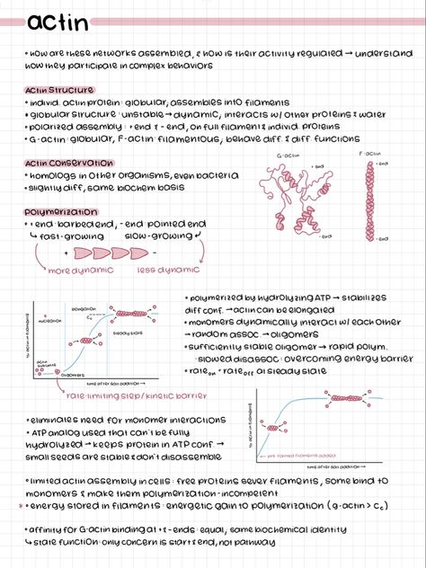 cell bio notes! Online Notes Aesthetic Computer, Good Notes Notes Aesthetic, Aesthetic Notes Study Inspiration Ipad, I Pad Notes Aesthetic, Biology Notes Ipad, Pretty Ipad Notes, Goodnotes Inspo Notes, Notability Notes Ideas, Aesthetic Notes On Ipad