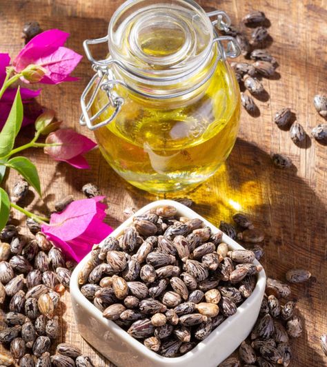 Using castor oil for eyes may help promote lash growth and relieve dry eyes. Read this article to learn about its safety, how to use it, and associated risks. Castor Oil For Eyes, Using Castor Oil, Homemade Hair Oil, Dry Eye Symptoms, Castor Oil Benefits, Apricot Seeds, Homemade Oil, Homemade Hair Products, Natural Curiosities