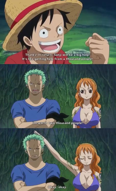 Memes One Piece, Zoro X Nami, Zoro Nami, One Piece Zoro, One Piece Meme, Anime Smile, One Piece 1, One Piece Nami, Comics Anime