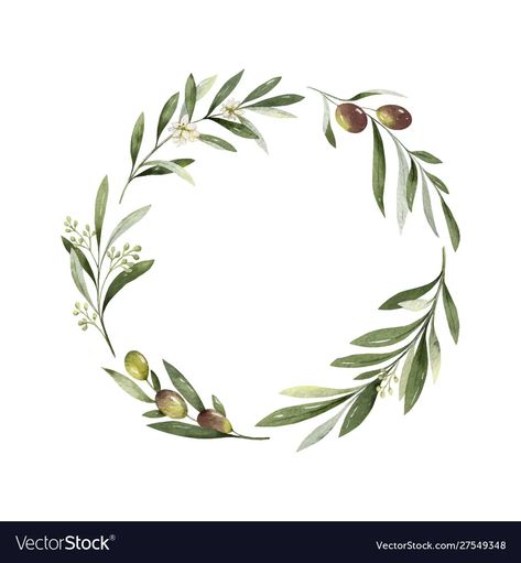 Olive Tattoo, Olive Branch Tattoo, Olive Branch Wreath, Branch Drawing, Wreath Tattoo, Lantern Tattoo, Watercolor Frame, Branch Tattoo, Watercolor Vector