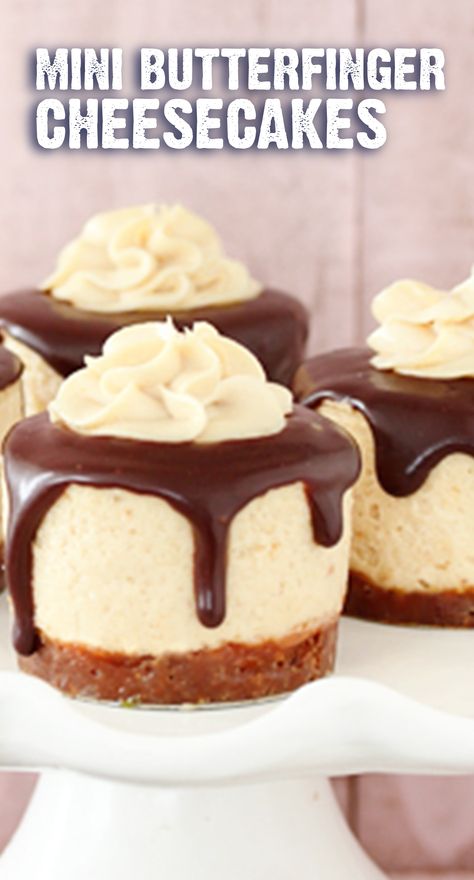 Bite sized is better when it comes to these Mini Butterfinger Cheesecakes. This party-perfect dessert might be small in size, but it’s packed full of crispety, crunchety, peanut-buttery flavors. Start with a sweet and salty pretzel crust. Then, top with BUTTERFINGER® Fun Size candy bars, chocolate ganache, and peanut butter cream cheese frosting. Click here for the full recipe. Peanut Butter Cream Cheese Frosting, Butterfinger Cheesecake, Fancy Deserts, Small Cheesecakes, Peanut Butter Cream Cheese, Butter Cream Cheese Frosting, Bars Chocolate, Pretzel Crust, Peanut Butter Cheesecake