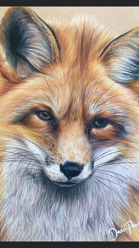 Fox Pencil Drawing, Tiger Art Drawing, Leaf Mulch, Realistic Animal Drawings, Soft Pastels Drawing, Color Pencil Sketch, Rabbit Colors, Soft Pastel Art, Fox Painting