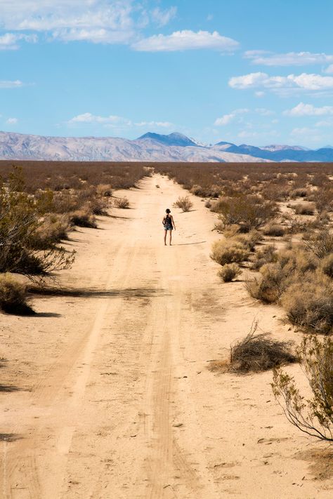 Southwest Gothic, Antelope Valley, Desert Road, Blurred Background Photography, Desert Dream, Desert Life, California Desert, Desert Vibes, Mojave Desert