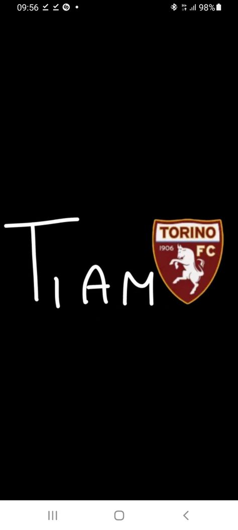 Torino Fc, Quick Saves