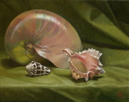 Christopher Thornock Shell Still Life, Siren Mermaid, Post Stamp, Still Life Painting, Sea Shell, Painting Inspiration, Fine Art Painting, Still Life, Art Inspo