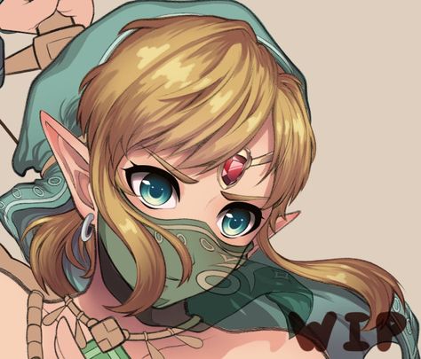 Gerudo Link, Twilight Princess Link, Cute Link, Characters To Cosplay, Legend Of Zelda Botw, Link To The Past, Legend Of Zelda Link, Legend Of Zelda Art, Zelda And Link