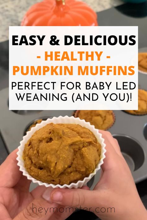 Pumpkin Banana Muffins Baby, Pumpkin Baby Muffins, Pumpkin Muffin For Baby, Baby Pumpkin Muffins No Sugar, Egg Free Muffins For Baby, Pumpkin Muffins For Babies, Pumpkin Muffins No Egg, Blw Pumpkin Muffin, Pumpkin Muffins Blw