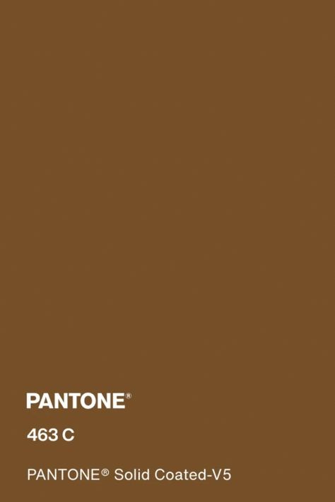 #pantone #pantone463c #brown #color Pantone Chocolate, Pantone Brown, Pantone Solid Coated, Coffee Brown, Brown Color, Personal Style, Collage, Coffee, Pins