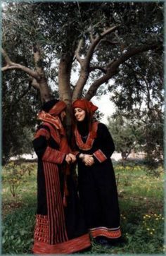 traditional+culture | Traditional Palestinian clothes, Pictures of Traditional Palestinian . Jordanian Clothing, Women In Traditional Clothing, Jordanian Dress, Baloch Culture, Dress With Hijab, Jordan Country, Jordan Dress, Native Dress, Jordans Girls