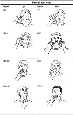 Parts of the Head Sign Language Medical Terms, Medical Sign Language, Sign Language Colors, Learning Asl, Learn Asl, Sign Language Chart, Sign Language For Kids, Sign Language Lessons, Sign Language Phrases