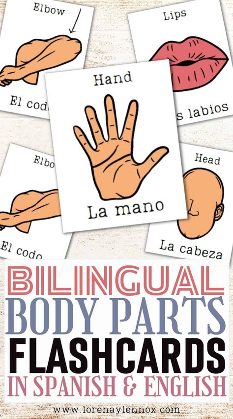 Bilingual Preschool Curriculum, Spanish Flashcards Printable Free, Spanish Flash Cards, Body Parts Flashcards, Body Parts In Spanish, Preschool Spanish Lessons, Beginner Spanish Lessons, Spanish Crafts, Spanish Flashcards