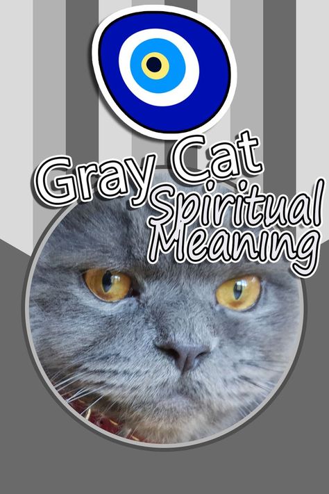 Gray Cat Spiritual Meaning and Omens Cat Spiritual Meaning, Cat Symbolism, Gray Cats, Dream Meaning, Mean Cat, Animal Spirit Guides, Dream's Cat, Gray Cat, Dream Symbols