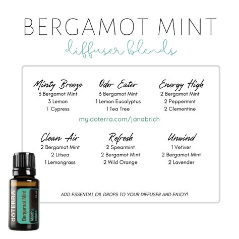 Bergamot Mint Diffuser Blends #DiffuserBlend #bergamot Bergamot Mint Diffuser Blend, Mint Diffuser Blends, Bergamot Diffuser Blend, Diffuser Scents, Essential Oil Diffuser Recipes, Oil Diffuser Recipes, Bergamot Essential Oil, Diffuser Blend, Diffuser Recipes