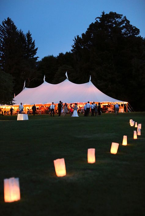 Orchard Wedding Reception, Trey Taylor, Apple Orchard Wedding, At Home Wedding, Wedding Marquee, Hamptons Wedding, Wedding Aesthetics, Orchard Wedding, Vermont Wedding