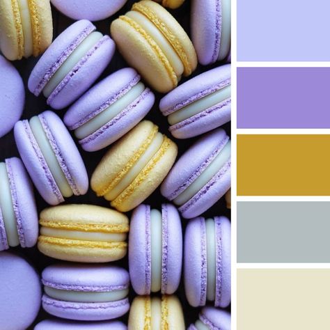 Macaron Color Palette, Color Pallets, Macarons, Color Combinations, Color Palette, Color