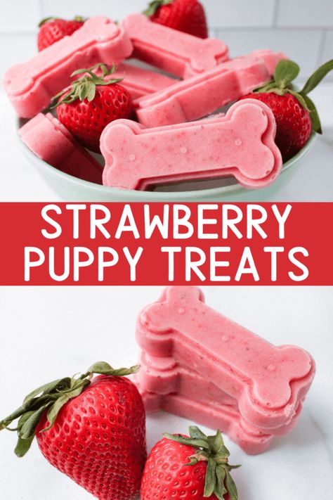 Strawberry Puppy Treats Strawberry Treats For Dogs, Dog Treats With Strawberries, Strawberry Dog Treats Recipes, Dog Frozen Treats, Frozen Puppy Treats, Strawberry Dog Treats, Frozen Treats For Dogs, Puppy Treats Homemade, Homemade Frozen Dog Treats