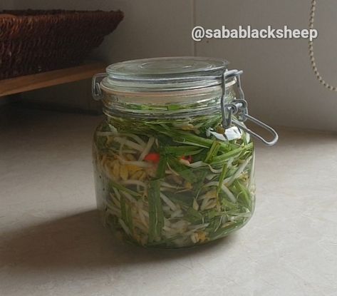 Vietnamese Pickled Garlic Chives & Bean ShootsSabablacksheep.com How To Preserve Garlic, Preserve Garlic, Preserving Garlic, Vietnamese Style, Garlic Scapes, Pickled Garlic, Tomato Jam, Garlic Chives, Pickle Jars