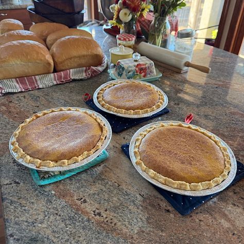 Creamy Pumpkin Pie Pioneer Woman Pumpkin Pie, Canning Homemade Salsa, Creamy Pumpkin Pie, Prairie Homestead, Pumpkin Snickerdoodles, Making Whipped Cream, Bread Appetizers, Savory Chicken, Pie Crust Recipes