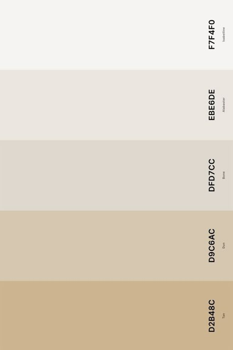 Cream Swatch Color Schemes, Off White Wedding Color Palette, Bone Colour Palette, Ivory Shades Color Palettes, Beige And White Palette, Ivory White Color Palette, Off White Color Scheme, Off White Hex Code, White Shades Palette