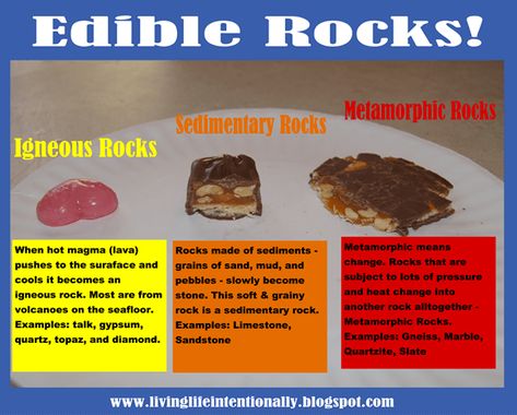 Kids will have fun with this memorable, Edible Rock Classifications activity. This is a fun, hands-on lesson in Earth Science for Kids Edible Rocks, Earth Science Experiments, Elementary Earth Science, Earth Science Middle School, Earth Science Projects, Earth Science Activities, Rock Science, Earth Science Lessons, Rock Cycle