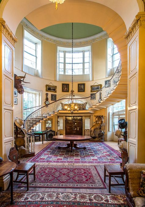 Lotabeg house Cork - Irish Mirror Online Interesting Rooms, Cork House, House Reference, Ireland Houses, European Homes, Irish Country House, Houses Inside, Irish Architecture, Irish Houses