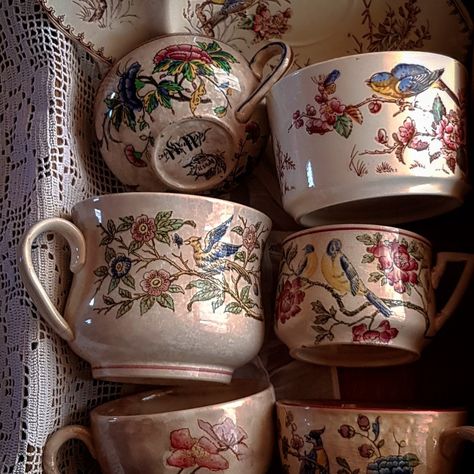 Antique Vintage Decor, Decor 2024, Cups And Saucers, Dream House Decor, Cute Mugs, الرسومات اللطيفة, Cups And Mugs, Vintage Tea, Ceramic Pottery