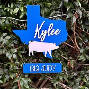 FFA Pig Stall Sign Animal Name, Stall Signs, Pet Signs, Ffa, Personal Project, Name Sign, Name Tag, Name Tags, Name Signs