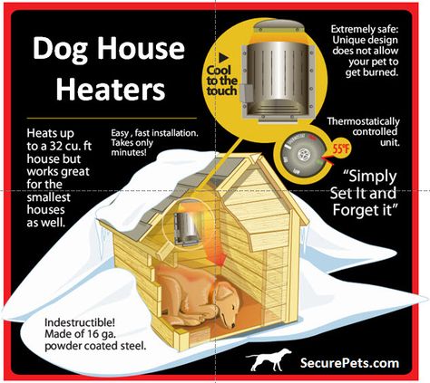 Heated Dog House, Dog House Heater, House Heater, Cat Shelters, Dogs House, Build A Dog House, Outdoor Dog House, Positive Dog Training, Heat Lamp