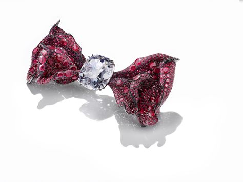 Cindy Chao, Red Brooch, Diamond Bows, Bow Brooch, Bow Jewelry, Red Jewelry, Jewelry For Her, Precious Gems, High Jewelry