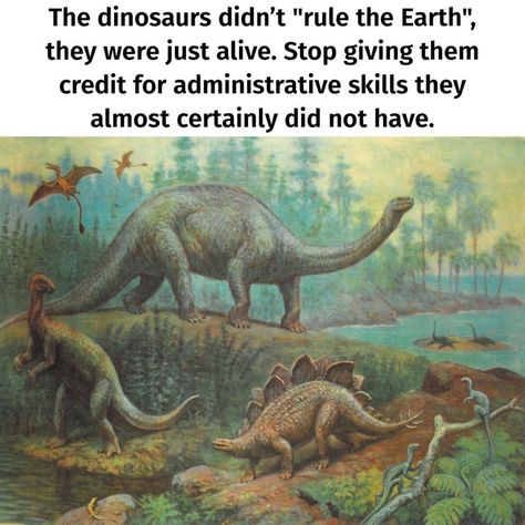 2020 Memes, Classical Art Memes, Sneak Attack, Dinosaur Pictures, Nerd Humor, Dinosaur Funny, Prehistoric Creatures, A Dinosaur, Prehistoric Animals