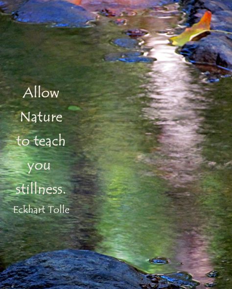 Nature reflections in water and quote by Eckhart Tolle. Water Reflection Quotes, Stillness Quotes, Be Still Quotes, Nature Quotes Inspirational, Spiritual Sayings, Spiritual Affirmations, Earth Quotes, Quotes Spiritual, Quotes Affirmations