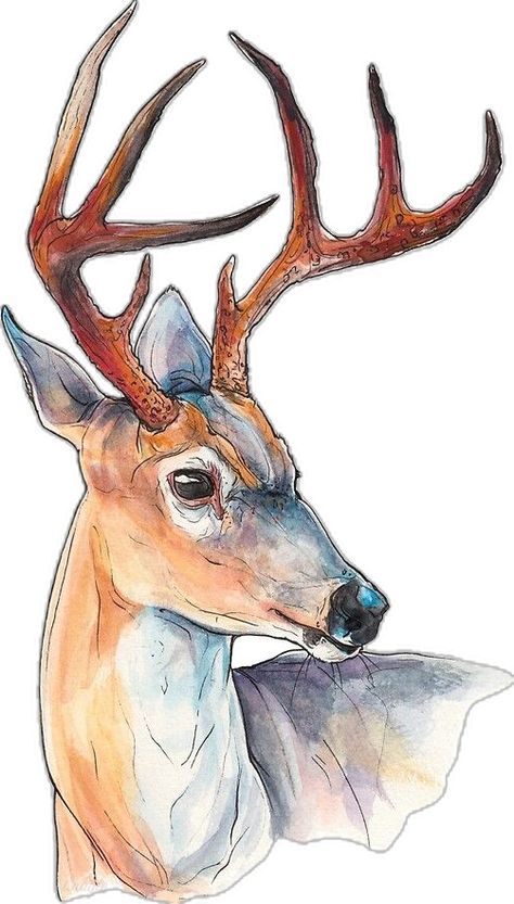 Pen Portrait, Animal Paintings Acrylic, Deer Artwork, Deer Drawing, Sweet Drawings, Deer Illustration, Farm Paintings, Deer Painting, Deer Art