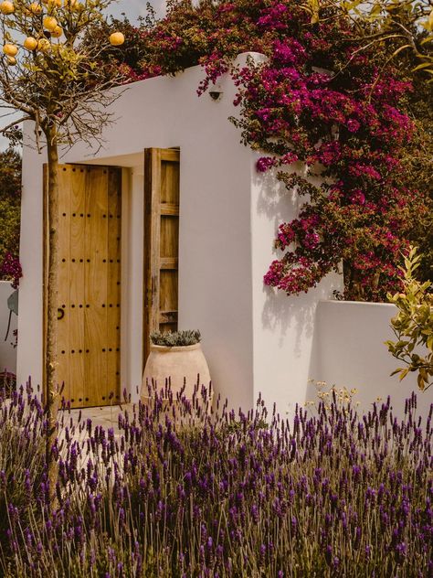 Natural habitats: Ibiza Interiors on bringing the outside in Ibiza Homes, Ibiza Interiors, Workshop Studio, Architectural Practice, Hospitality Projects, Mediterranean Garden, Textures And Tones, Interior Architect, Old Stone