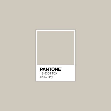 Discover Inspirational Pantone Color Palette · Lab 80,82 1,72 6,22 · sRGB 207 200 189 · HEX CFC8BD · Pantone · FHI Cotton TCX · PANTONE 13-5304 TCX Rainy Day Yellow Pantone, Pantone Palette, Color Pantone, Pantone Colour Palettes, Spring Color Palette, Fall Color Palette, Color Palette Design, Pastel Yellow, Mellow Yellow