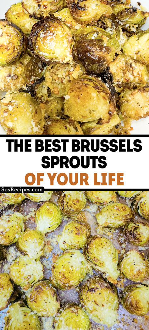 If you don’t like Brussels Sprouts, you most likely haven’t tried them roasted with garlic, it’s guaranteed to take your Brussel Sprouts to a whole new level. Best Brussel Sprout Recipe Roasted, Buttery Brussel Sprouts, Oven Brussel Sprouts, Brussel Sprout Recipes Oven Roasted, Cheesy Brussel Sprouts, Brussel Sprouts In Crockpot, Lazy Dog Brussel Sprouts Recipe, How To Cook Brussel Sprouts On The Stove, Brussel Sprouts Roasted