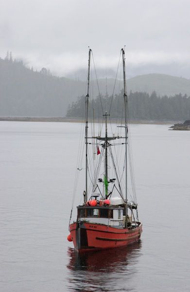 Ocean Fishing Boats, Fishing In Alaska, Alaska Salmon Fishing, Shrimp Boats, Best Salmon, Steelhead Fishing, Lobster Fishing, Sea Queen, Alaska Fishing