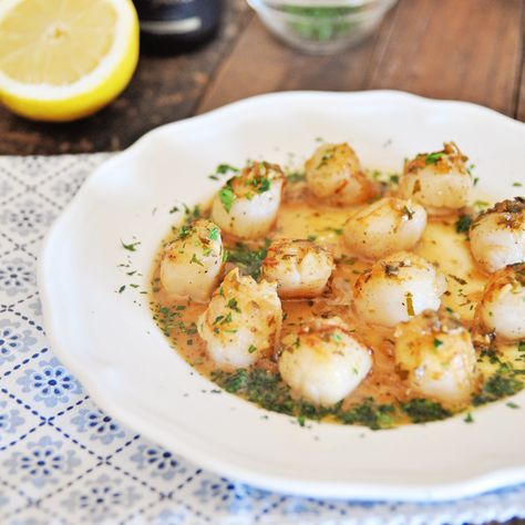 This recipe for Seared Scallops with Champagne Sauce is super easy to make and loaded with so many wonderful flavors. We also offer a free video recipe with step by step cooking instructions. Champagne Sauce Recipe, Champagne Sauce, Scampi Recipe, Seared Scallops, Shellfish Recipes, Scallop Recipes, Scallops Seared, How To Cook Steak, Lemon Recipes