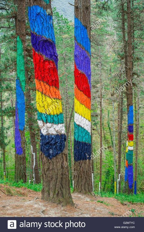 World Tree Art, Poem About Nature, Forest Installation, Tree Garden Decor, Tree Trunk Painting, Garden Whimsical, Painted Forest, Colorful Contemporary Art, Peace Poles