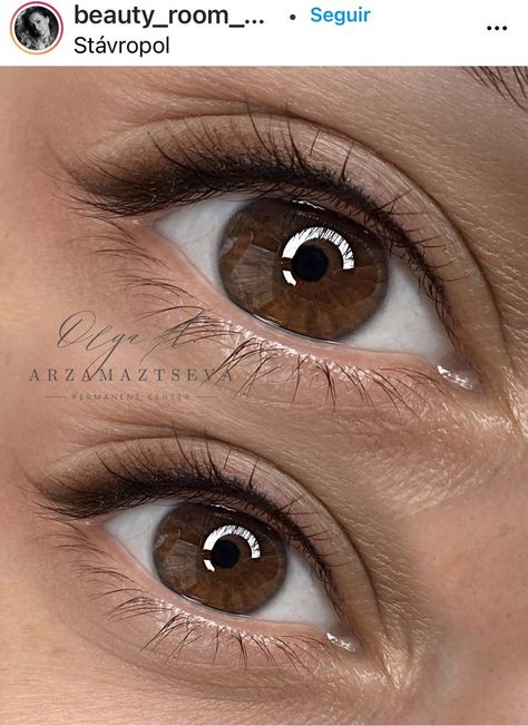 Permanent Upper Eyeliner, Permanent Eye Makeup, Permanent Eyeliner Styles, Eyeliner Permanent Makeup, Eyeliner Brown Eyes, Mircoblading Eyebrows, Natural Fake Eyelashes, Permanent Makeup Eyeliner, Permanente Make-up