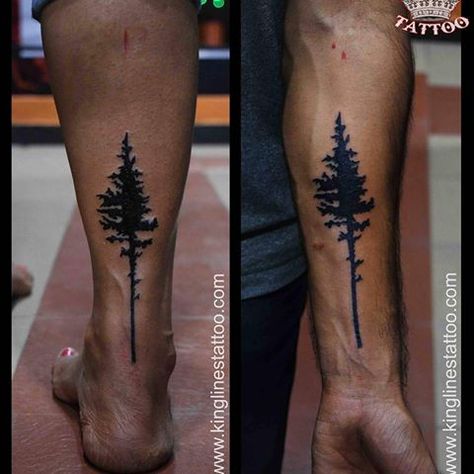 Oregon- Douglas Fir Douglas Fir Tattoo, Couples Memories, Az Tattoo, Tree Tat, Simple Bird Tattoo, Tattoo Abstract, Tattoo Font For Men, Oregon Nature, Tattoo Tree