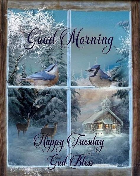 Tuesday Quotes Good Morning, Tuesday Greetings, Good Morning Winter, Tuesday Blessings, Writing Posters, Good Morning Tuesday, Good Morning Happy Friday, Tuesday Quotes, Tuesday Humor