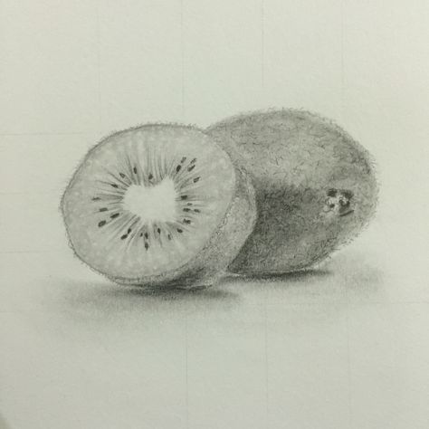 Fruit Drawing Pencil Sketches, Kiwi Sketch, Fruit Drawing Pencil, Kiwi Fruit Drawing, Fruit Sketches, Kiwi Drawing, Object Drawings, Tonal Drawing, Mini Drawing