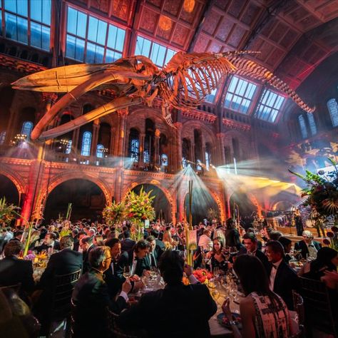 Corporate Event at the Natural History Museum Museum Events Ideas, Night At The Museum Themed Event, Luxury Corporate Event, Natural History Museum Wedding, Historical Museum Exhibition, Artscience Museum Singapore, Natural History Museum London, Corporate Awards, History Events