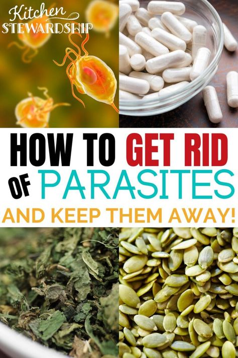 Get some creepy insight into why we ALL probably have parasites, the best FIRST effort to get rid of parasites, and why you have to keep working at it with maintenance! Care During Pregnancy, Health Articles Wellness, Health And Wellness Quotes, Essential Oils Herbs, Natural Pregnancy, Keep Working, Herbs For Health, Staying Healthy, Household Products