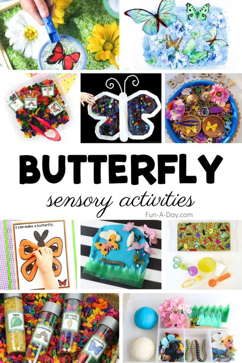 Amazing collection of butterfly sensory activities perfect for your next butterfly theme. Preschool and kindergarten kids will love getting their hands on the butterfly sensory fun. Preschool Butterflies Activities, Butterfly Sensory Activities, Butterfly Preschool Activities, Butterfly Sensory Bin, Butterfly Activities For Preschool, Preschool Butterfly Activities, Preschool Butterfly Theme, Butterfly Preschool, Preschool Butterfly