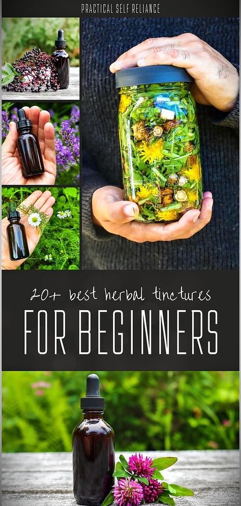 Step into the world of herbal healing with our 20+ Best Herbal Tinctures for Beginners. Dive into Herbs for Health & Herbal Medicine Recipes and discover how to make tinctures from chamomile, bee balm, and more. Herbs For When Youre Sick, Tincture Recipes For Energy, Easy Herbal Remedies, Herbal Tylenol Alternative, Diy Tinctures Herbal Medicine, Tincture Storage, Functional Medicine Recipes, Herbal Tinctures Recipes, Herbalism For Beginners