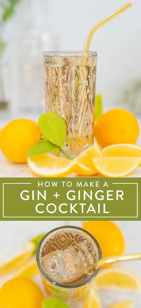 Gin and ginger ale make an absolutely delicious combination! Learn how to mix a perfect cocktail, and find out our favorite extras to make a gin and ginger even better. Click to find out how to customize these two ingredients to make your own cocktail recipes at home, for parties, or for date night. Gin Ginger Beer Cocktail, Gin And Ginger Ale, Gin Ginger Ale Cocktails, Gin Buck, Ginger Cocktail Recipes, Ginger Ale Cocktail, Cocktail Recipes At Home, Ginger Soda, Ginger Beer Cocktail